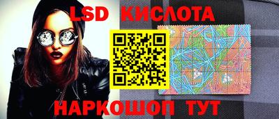 шишки Будённовск