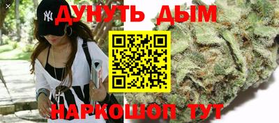 шишки Будённовск