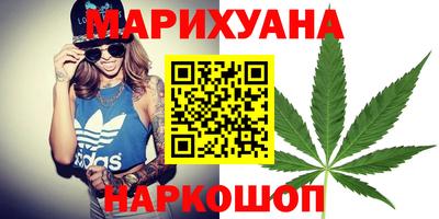 шишки Будённовск